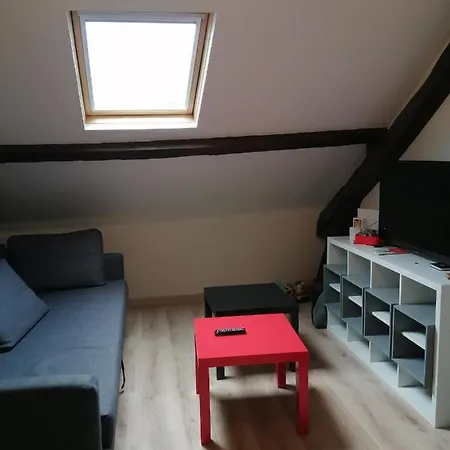 Cosy ✰chateau Des Ducs De Bretagne✰ Apartment